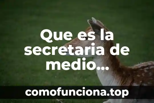 Que es un calendario de trabajo en una tesis 3 Que es la secretaria de medio ambiente recursos naturales