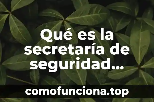 Que es una actuacion publica 6 Qué es la secretaría de seguridad pública en México