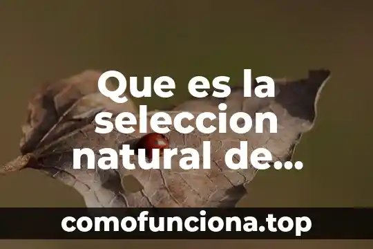 Que es el cesped natural para futbol 3 Que es la seleccion natural de dorwin