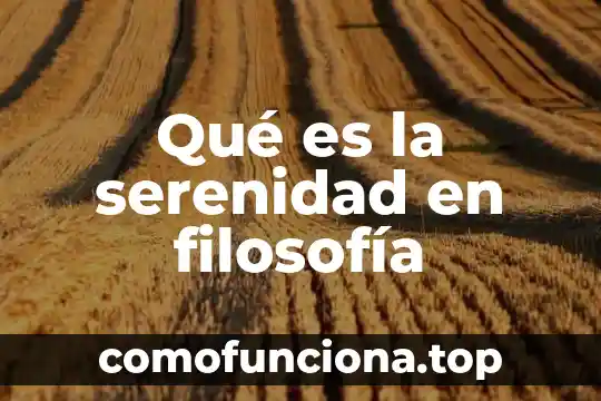 Que es el color en filosofia 8 Qué es la serenidad en filosofía