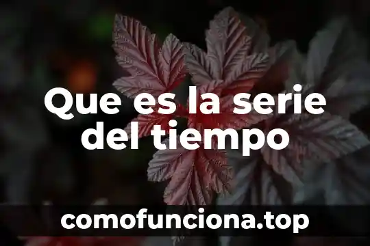Qué es el puerto serie de una computadora 3 Que es la serie del tiempo