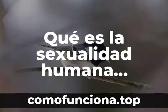 Que es la parsimonia concepto 7 Qué es la sexualidad humana concepto