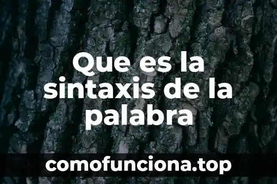 Que es la palabra mi nombre 5 Que es la sintaxis de la palabra