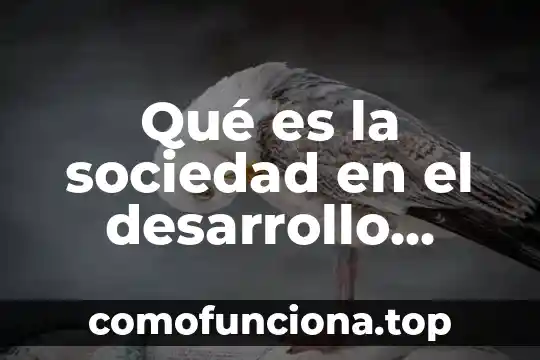 Que es el principio precautorio y el desarrollo sustentable 8 Qué es la sociedad en el desarrollo técnico