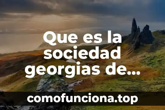 Que es una sociedad focaultniana 4 Que es la sociedad georgias de leontiro