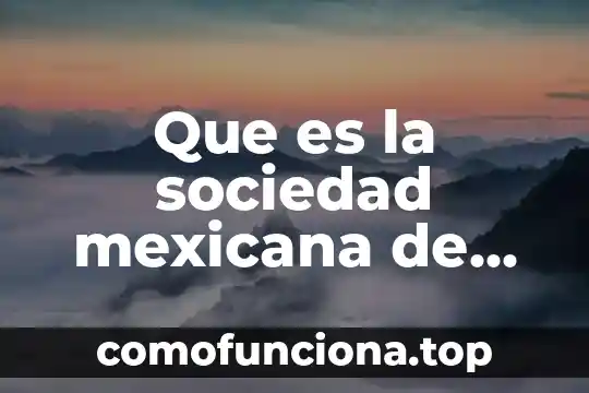 Que es ser adolescente segun los psicologos 4 Que es la sociedad mexicana de psicologos