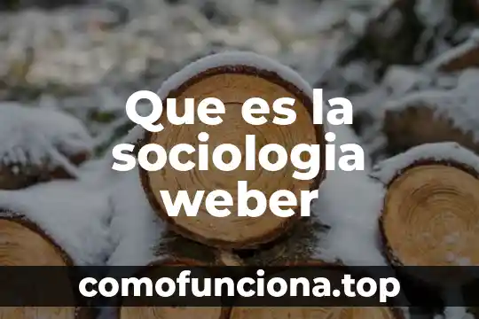 Qué es el weber 3 Que es la sociologia weber