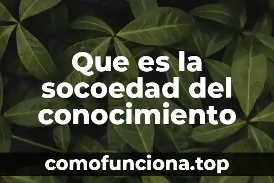 Que es el nivel de conocimiento y sus clasificaciones 3 Que es la socoedad del conocimiento