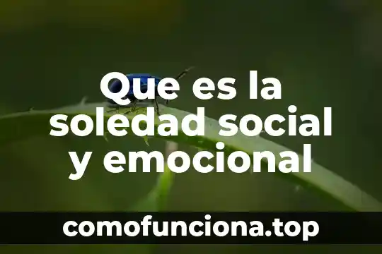 Por que es una practica social la conciencia emocional 7 Que es la soledad social y emocional