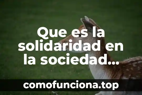 Qué es el gramema y ejemplos 8 Que es la solidaridad en la sociedad ejemplos