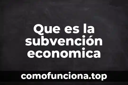Que es ser italic 4 Que es la subvención economica