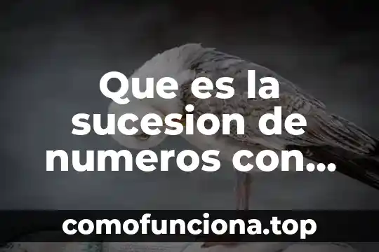 Que es en numeros 5 Que es la sucesion de numeros con signo
