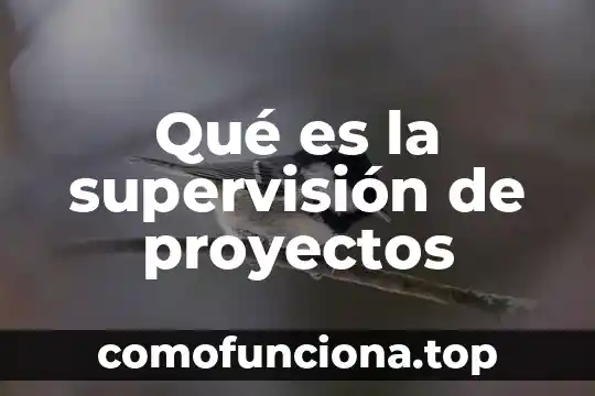 Que es un comprador de proyectos 7 Qué es la supervisión de proyectos