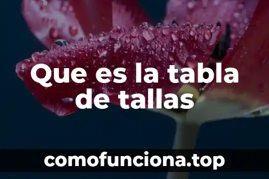 Que es nombre de una tabla en base de datos 7 Que es la tabla de tallas