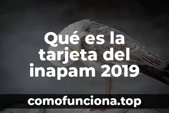Ley de extinción de dominio 2019 que es 8 Qué es la tarjeta del inapam 2019