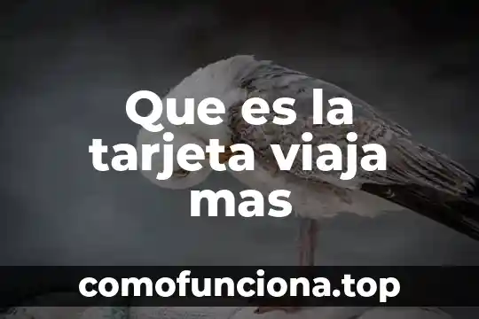 Qué es lo que más se toma en una fiesta 4 Que es la tarjeta viaja mas