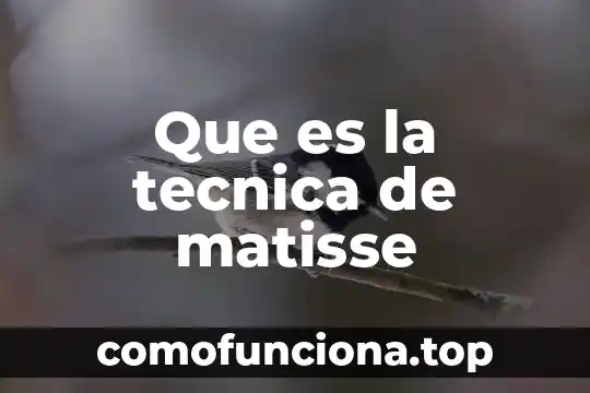 Aliat que es arquitectura 6 Que es la tecnica de matisse