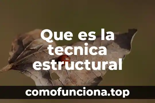 Que es la administracion una ciencia tecnica o un arte 5 Que es la tecnica estructural