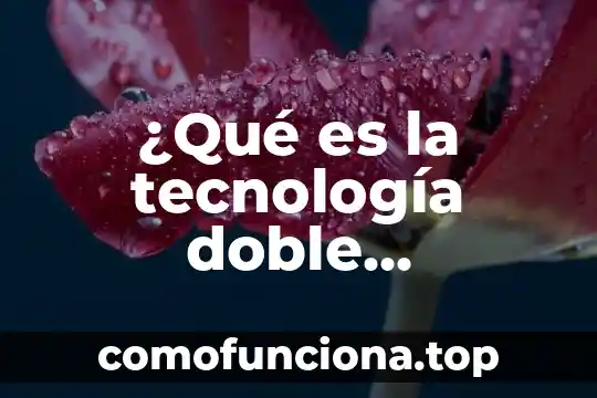 Que es la materia de ciencia tecnologia sociedad y valores 5 ¿Qué es la tecnología doble cerámica?