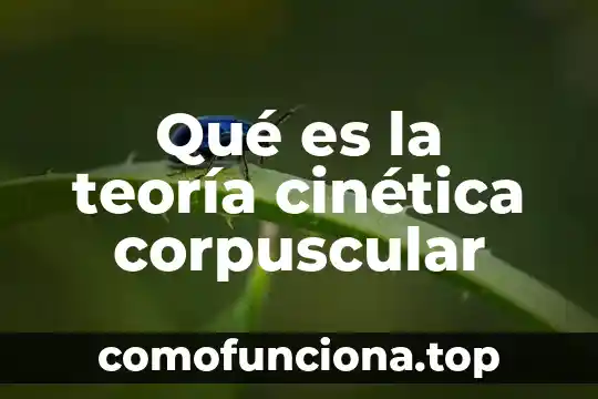 Que es la energia cinetica y potencial en fisica 7 Qué es la teoría cinética corpuscular