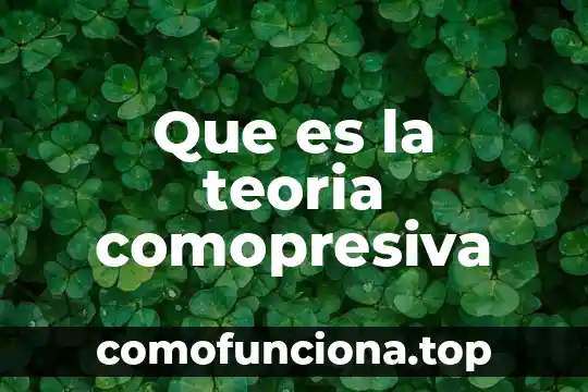 Qué es la globalización ante la teoría 6 Que es la teoria comopresiva