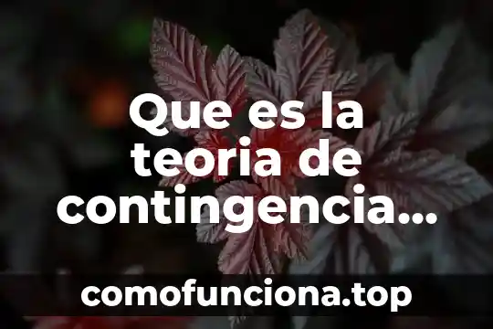 Qué es la teoría y en administración 6 Que es la teoria de contingencia de la administracion