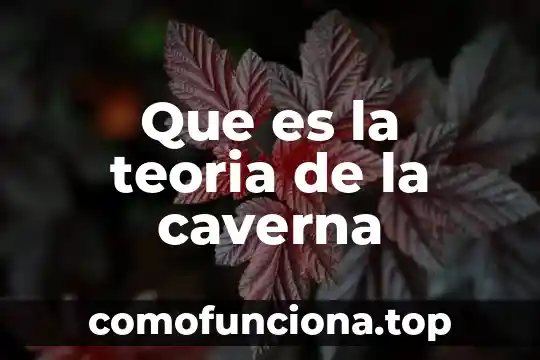 Qué es la teoría de la cuántica 7 Que es la teoria de la caverna