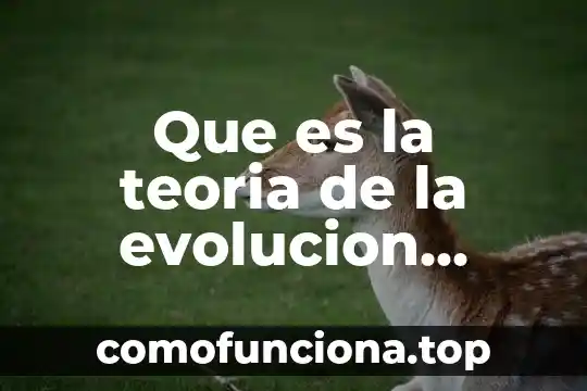 Qué es el movimiento Tupac Amaru 7 Que es la teoria de la evolucion celular