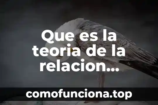 Qué es la teoría y en administración 3 Que es la teoria de la relacion educativa