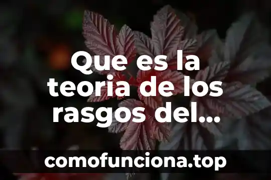 Qué es liderazgo y tipos 7 Que es la teoria de los rasgos del liderazgo