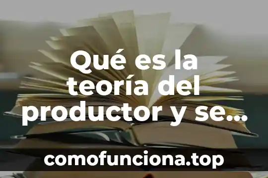 Qué es una gráfica diferencial concepto 3 Qué es la teoría del productor y se concepto