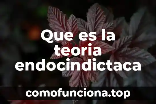 Qué es una teoría paradigmática 7 Que es la teoria endocindictaca