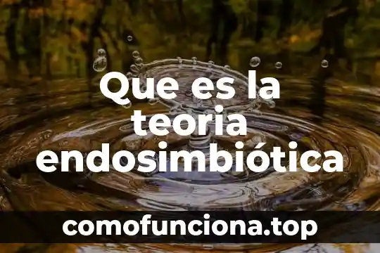 Qué es la teoría de la cantidad 7 Que es la teoria endosimbiótica