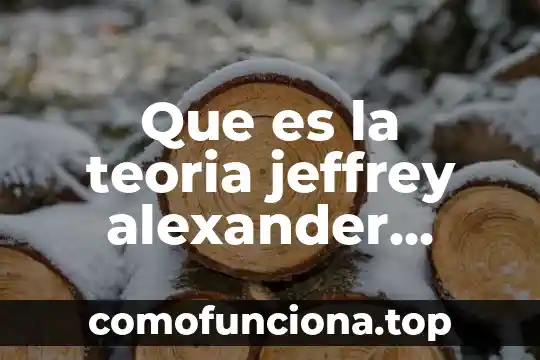 Qué es la teoría y en administración 5 Que es la teoria jeffrey alexander reflexion