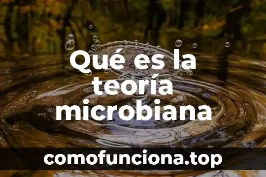 Qué es la teoría económica internacional 5 Qué es la teoría microbiana
