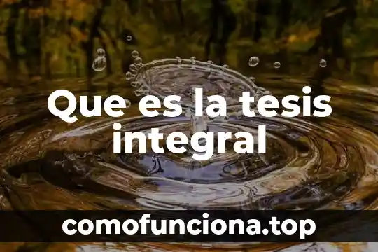 Qué es el estado de arte en una tesis México 3 Que es la tesis integral