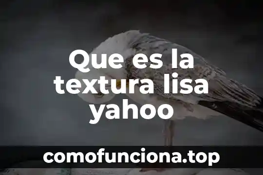 Que es ser politeista yahoo 3 Que es la textura lisa yahoo