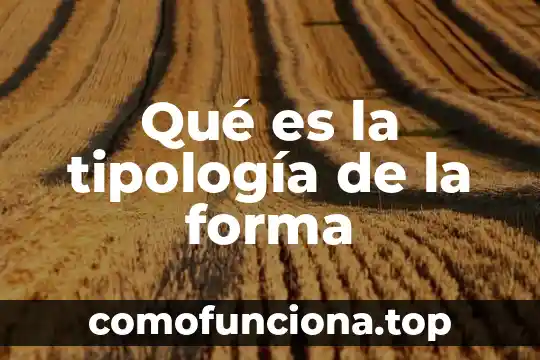 Que es la tipologia de textos academicos 8 Qué es la tipología de la forma