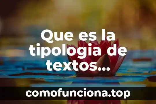 Que es tipología web 8 Que es la tipologia de textos academicos