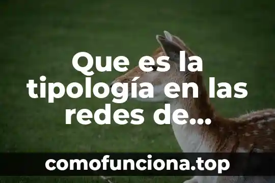 Que es la tipologia de textos academicos 7 Que es la tipología en las redes de computadoras