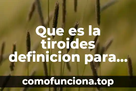 Qué es definición de ética 4 Que es la tiroides definicion para niños
