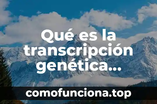 Que es el plasma estado de la materia yahoo 4 Qué es la transcripción genética Yahoo