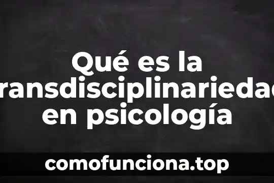 Que es el color en la psicologia 5 Qué es la transdisciplinariedad en psicología