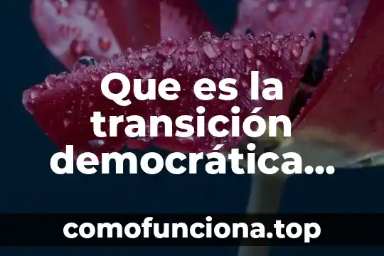 Que es la revolución democrática en la historia 5 Que es la transición democrática en méxico