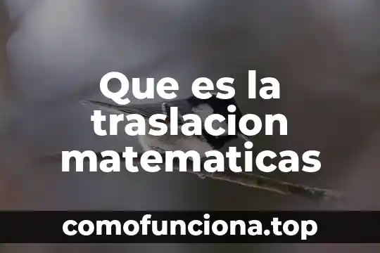 Qué es el signo de admiración en matemáticas 5 Que es la traslacion matematicas