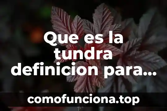 Qué es relaciones internacionales definición 4 Que es la tundra definicion para niños