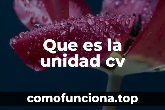 Qué es número CV en una tarjeta 5 Que es la unidad cv