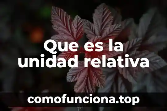 Que es volumen y cual es su unidad de medida 6 Que es la unidad relativa