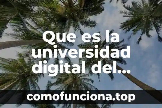 Que es la carrera de animacion y arte digital 6 Que es la universidad digital del estado de mexico