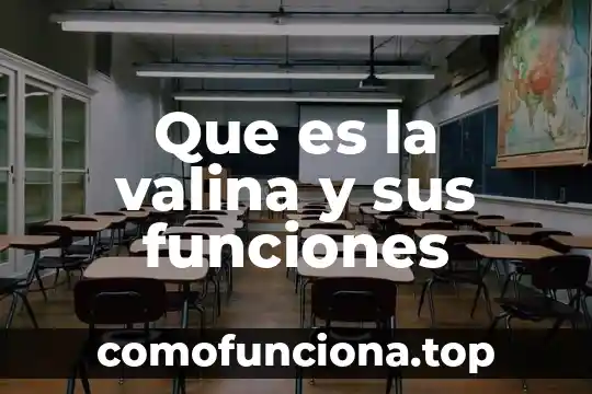 Que es una falla de canbus en planta 4 Que es la valina y sus funciones